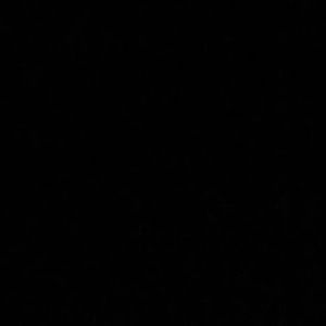 Meet your Posher, Spotty